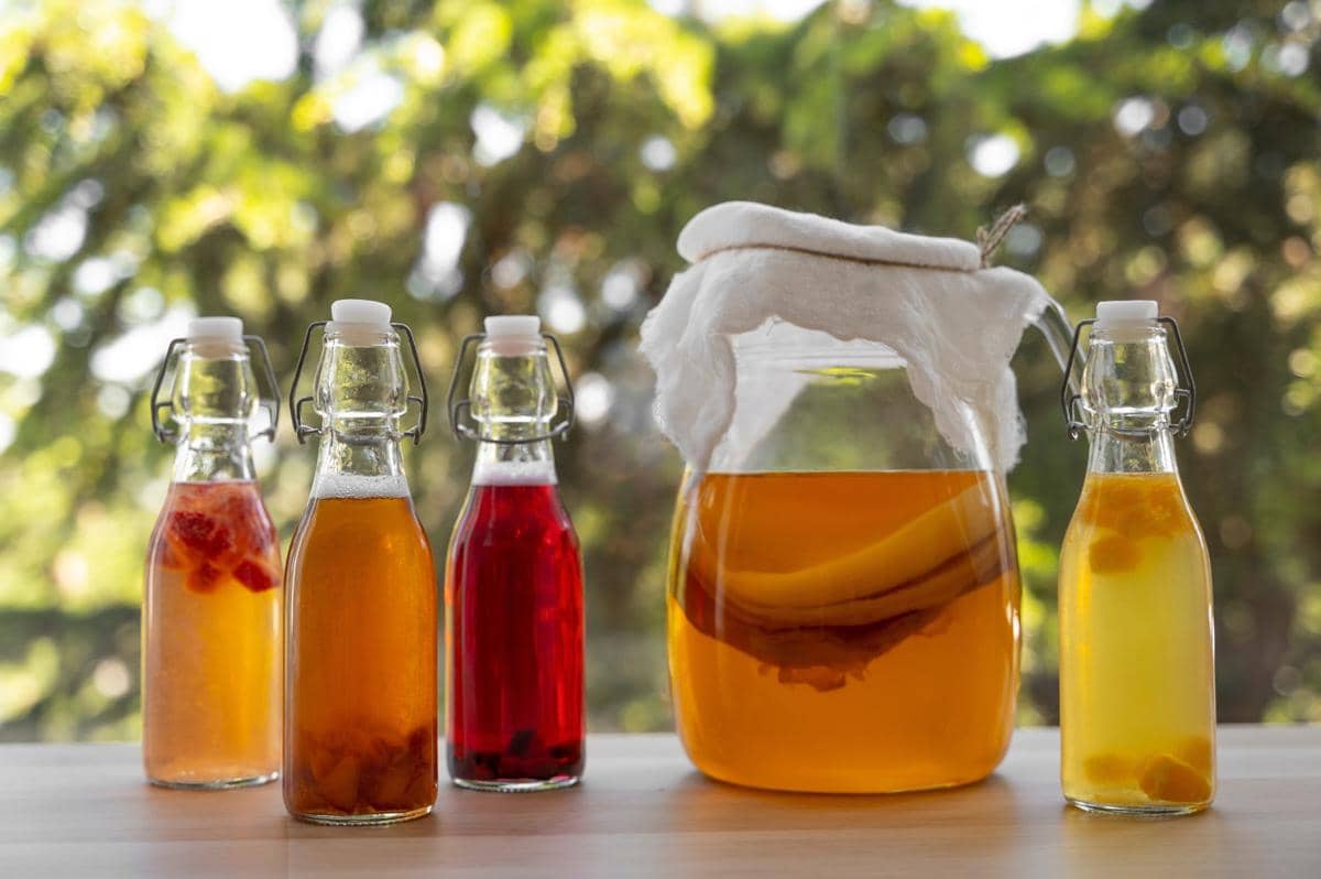Manfaat kombucha bagi kesehatan Miss V (6)