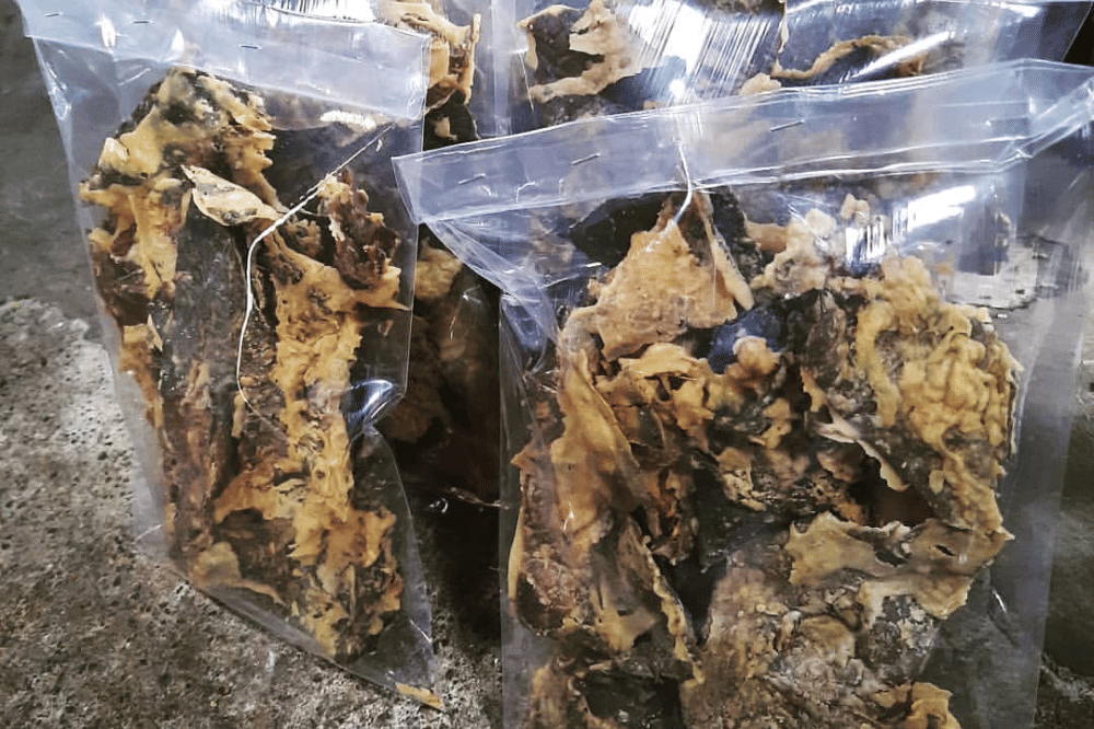 Keripik paru