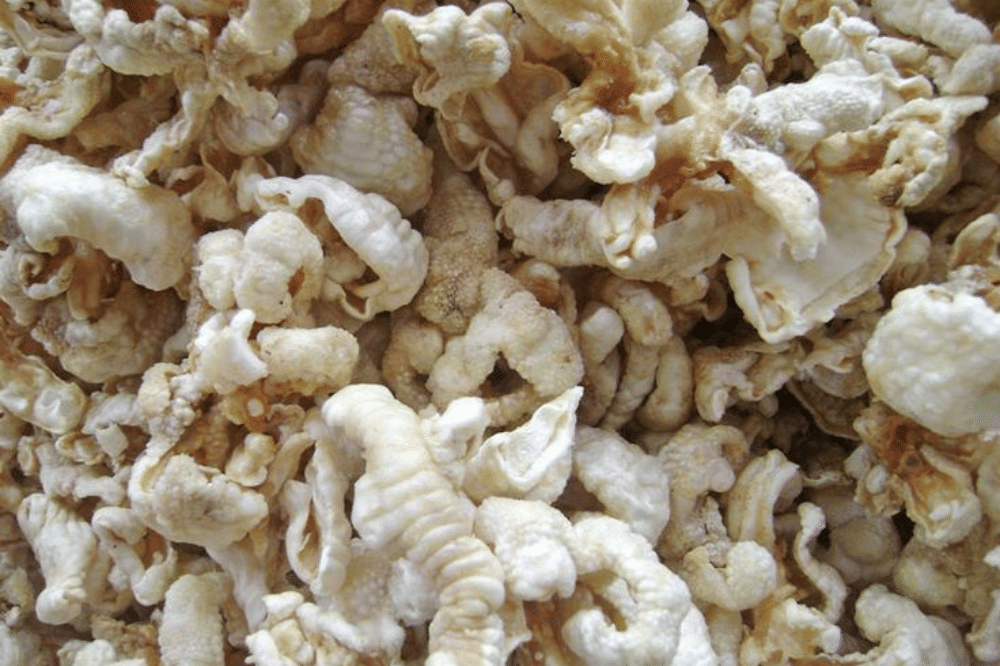 Keripik cakar