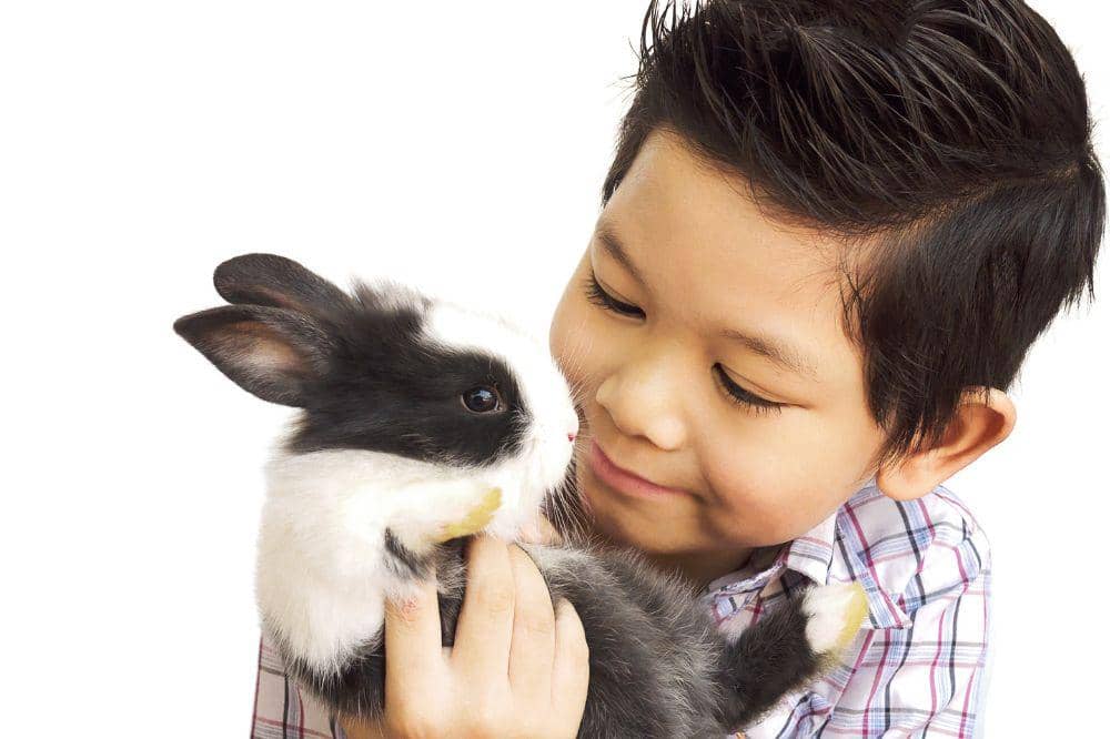 Belajar Sebutan Gerak Hewan dalam Bahasa Inggris Biar Anak Semakin Pintar