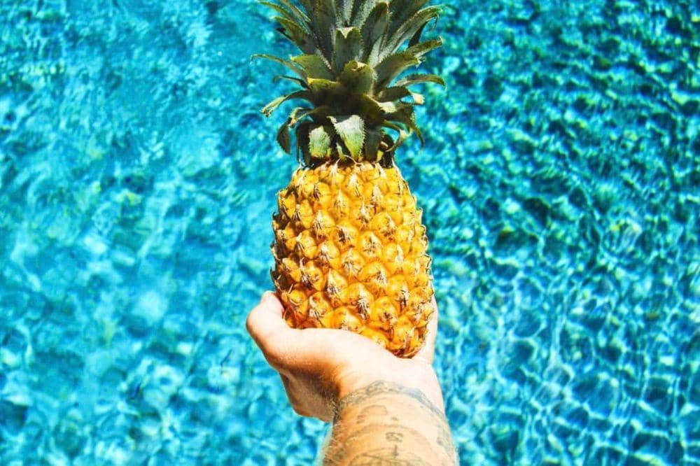Asal usul pineapple dating 3