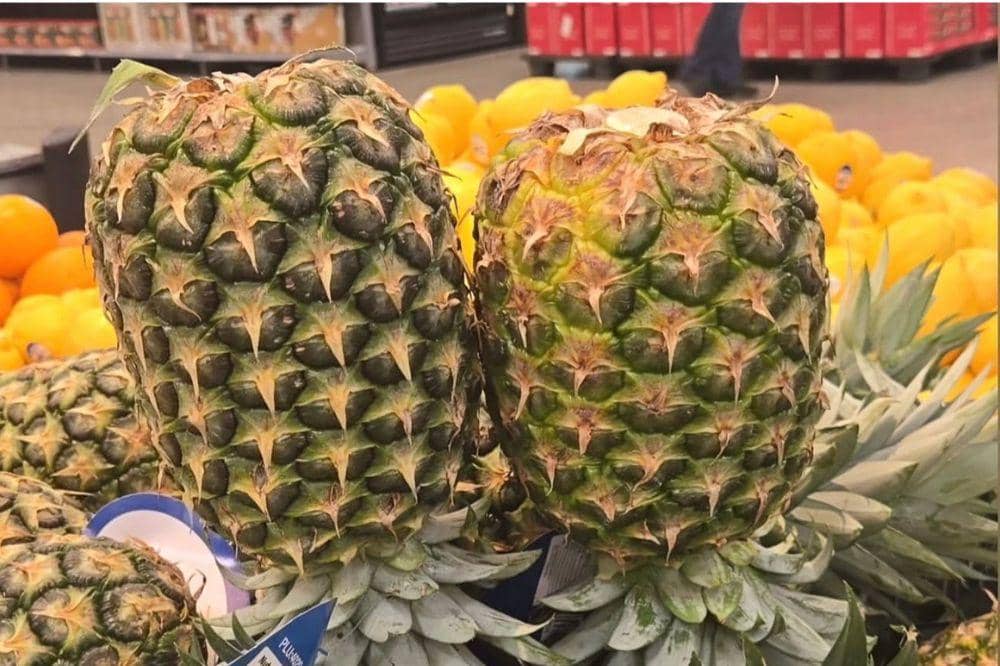 Asal usul pineapple dating 2