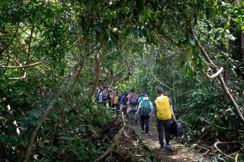 Trekking