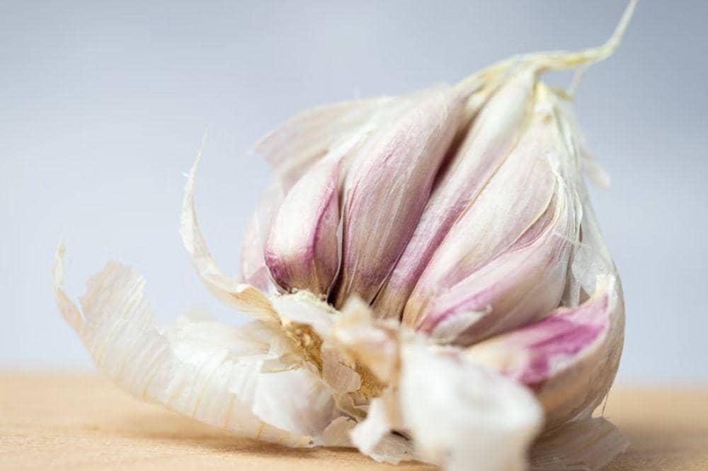 Bawang putih
