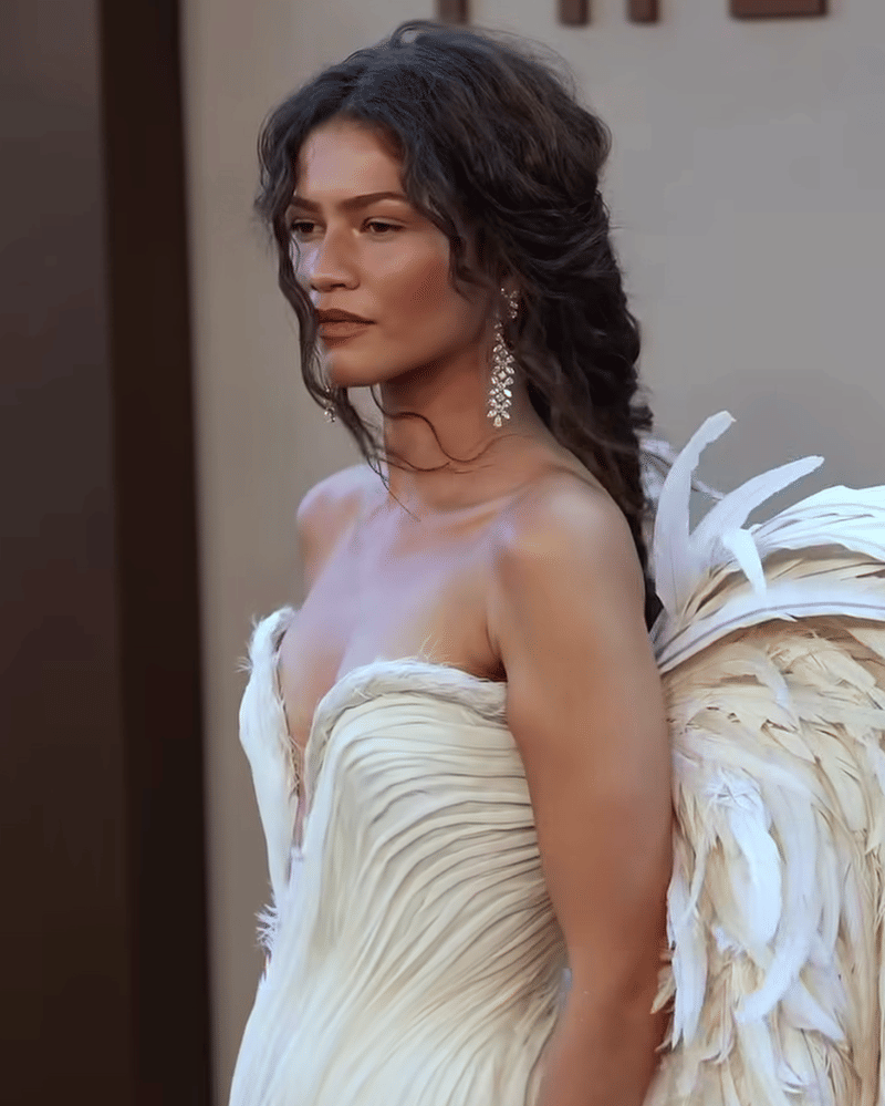 zendaya (1).png