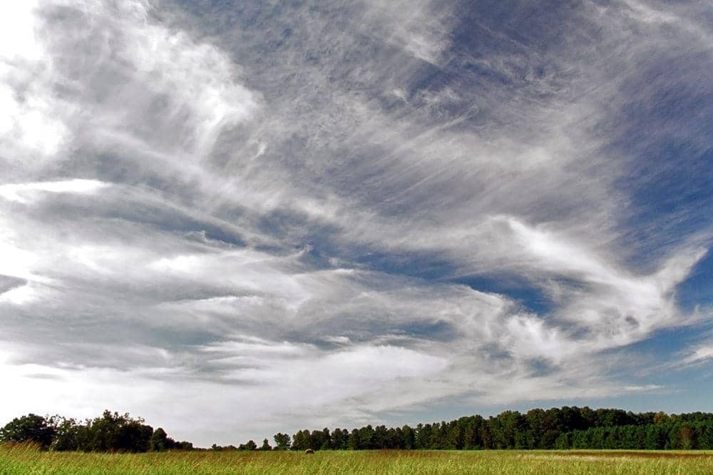 Cirrus