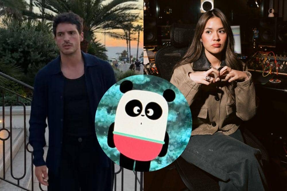 3 Petunjuk Hubungan Raisa dan Mathis Molinie, Teka-Teki Gambar Panda