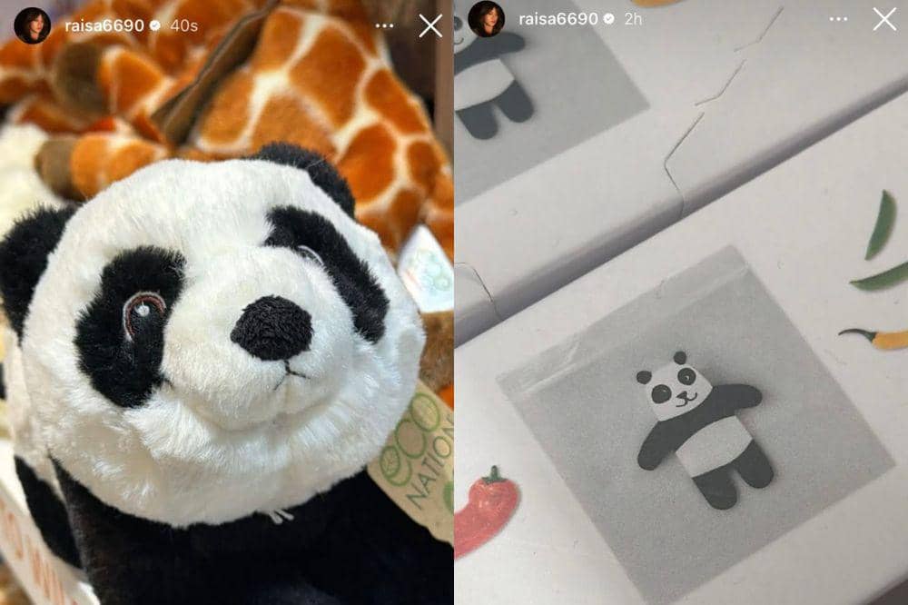 Raisa beberapa kali mengunggah foto panda di Instagram Stories