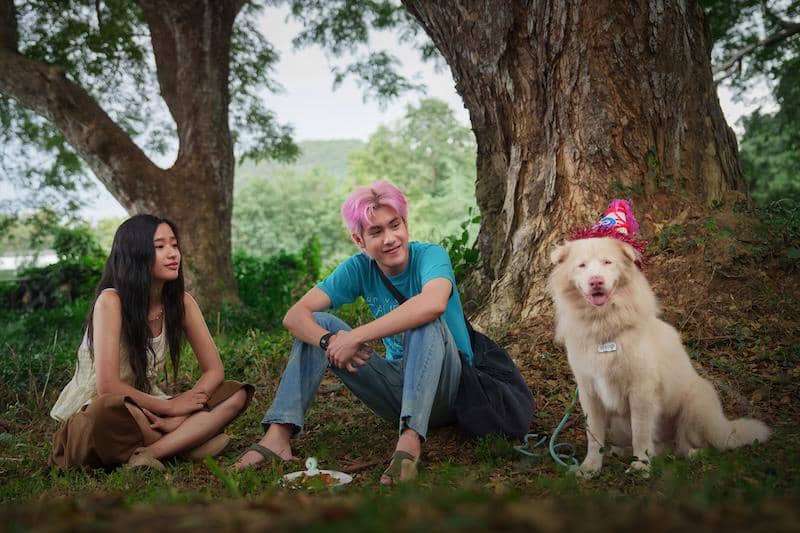 10 Rekomendasi Film Netflix yang Tayang Agustus 2026
