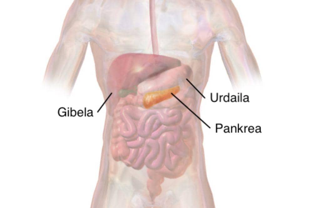 Masalah pada pankreas