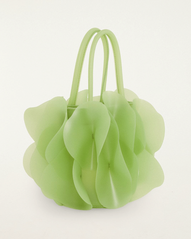 tas jelly (2).png