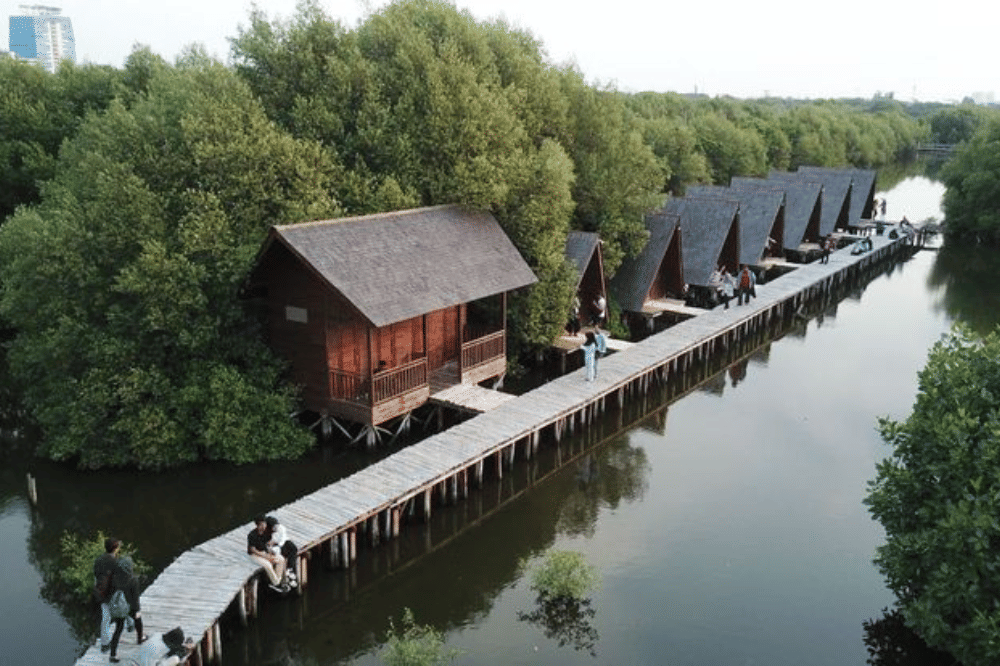 Hutan mangrove Angke Kapuk