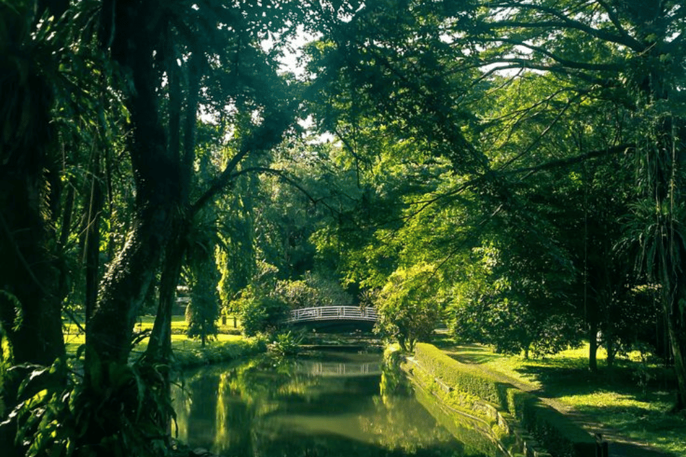 Kebun raya Bogor