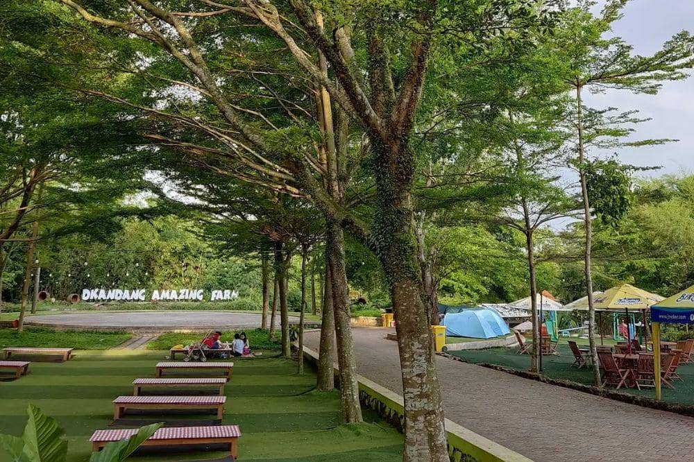 D'Kandang amazing farm