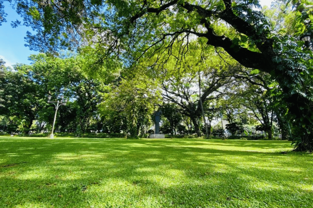 5 Wisata Alam Jakarta, Banyak Ruang Hijaunya