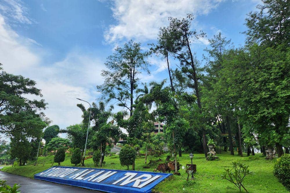 Studio alam