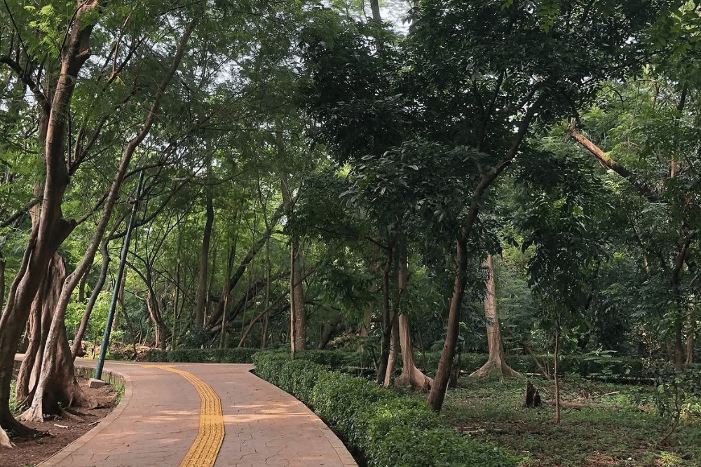 Hutan kota Srengseng