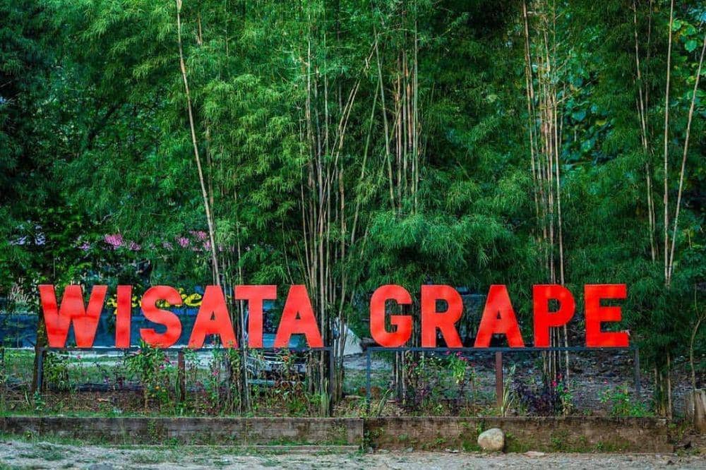 Wana wisata Grape