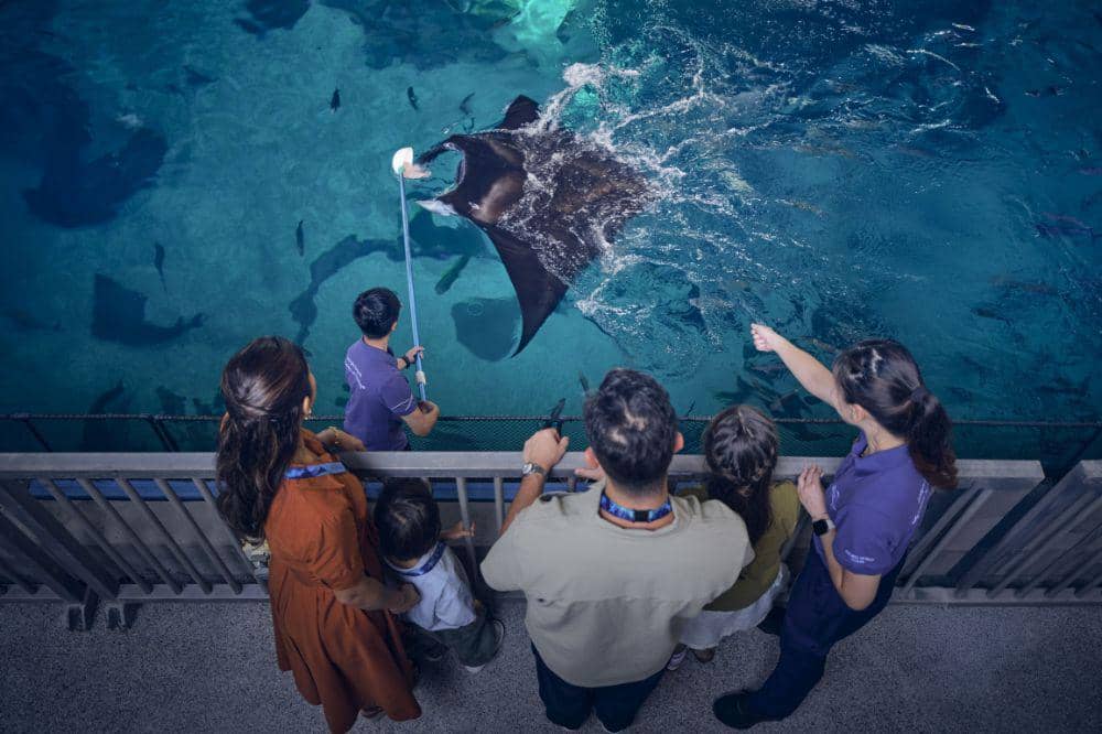 5 Hal Menarik di Singapore Oceanarium, Ada POP MART CRYBABY!