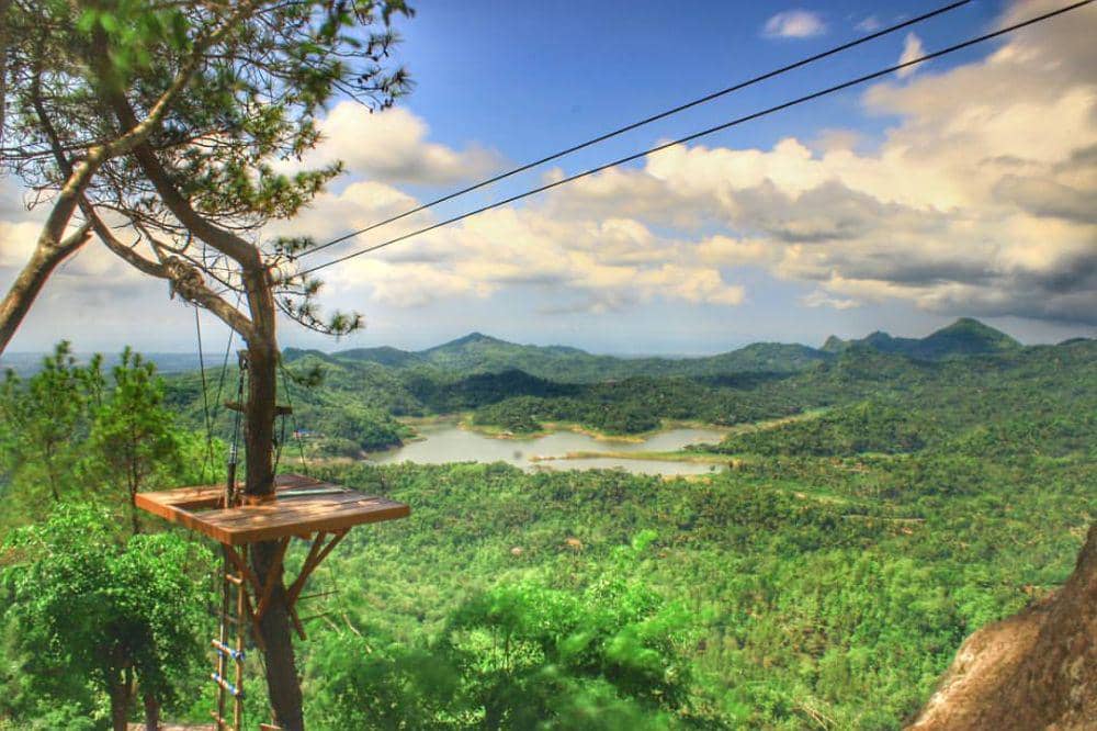 Aktivitas Seru di Wisata Alam Kalibiru