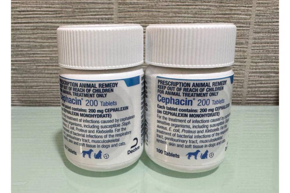 Cephalexin