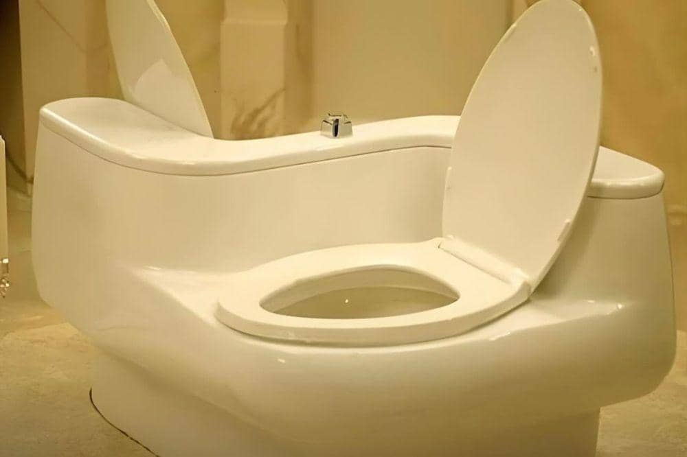 Fakta Lovers Toilet 4