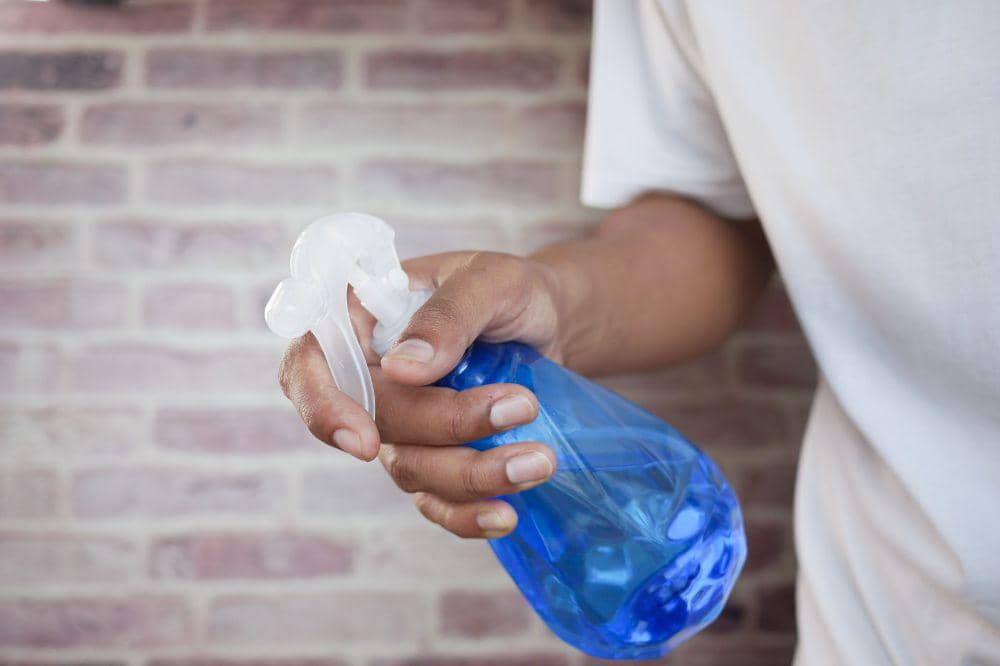 8 Cara Menghilangkan Noda Jamur di Karpet