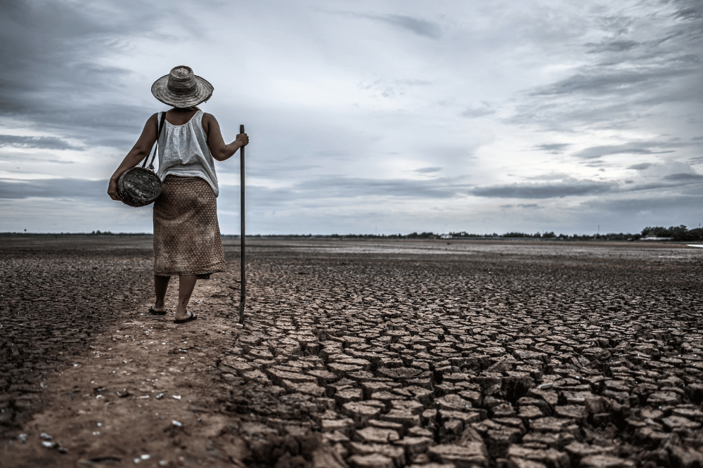 Kekeringan akibat El Nino