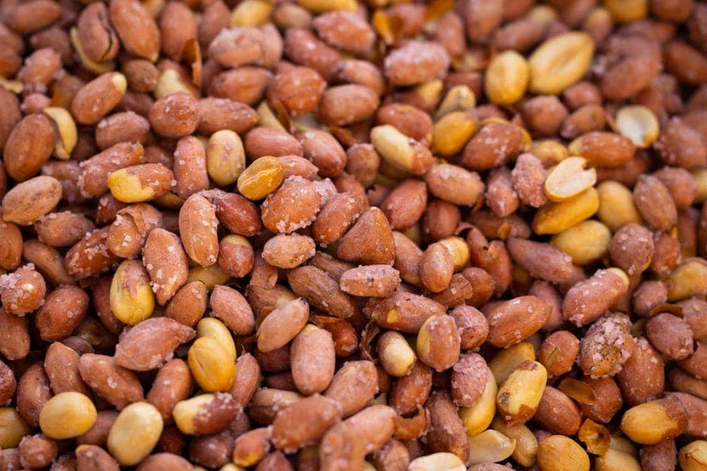 Kacang tanah