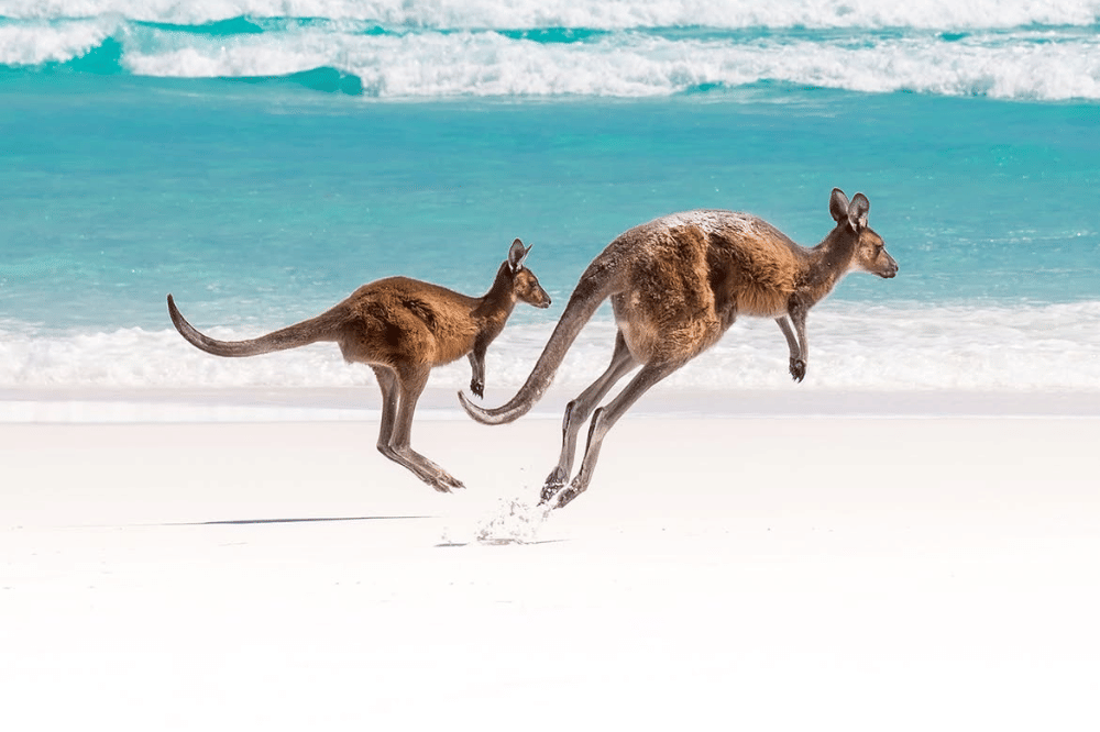 Lucky Bay