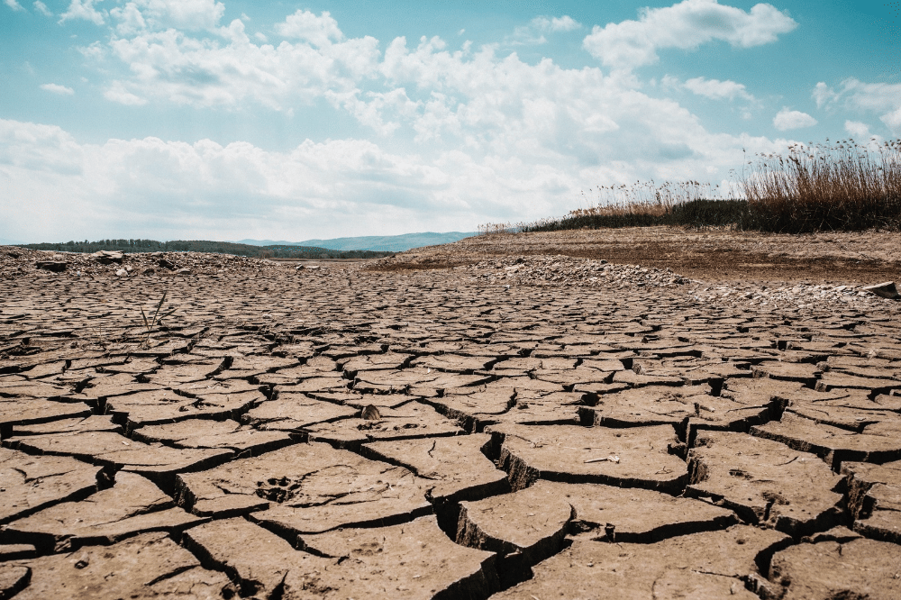 5 Fakta dan Mitos Tentang El Nino yang Perlu Kamu Ketahui