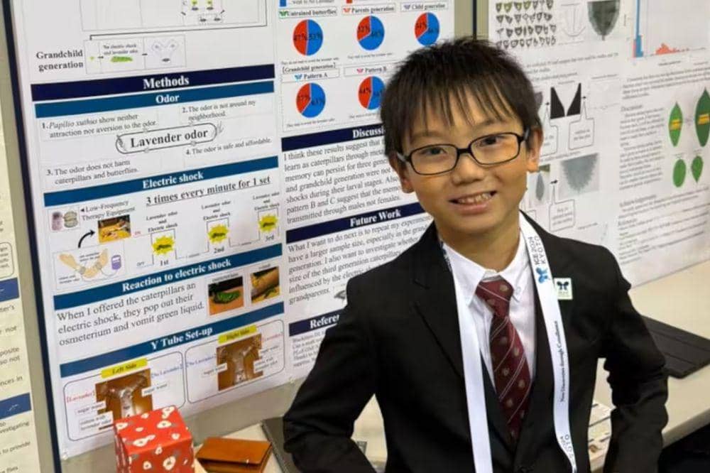 Riset: Anak 10 Tahun di Jepang Temukan Kupu-kupu Wariskan Ingatan