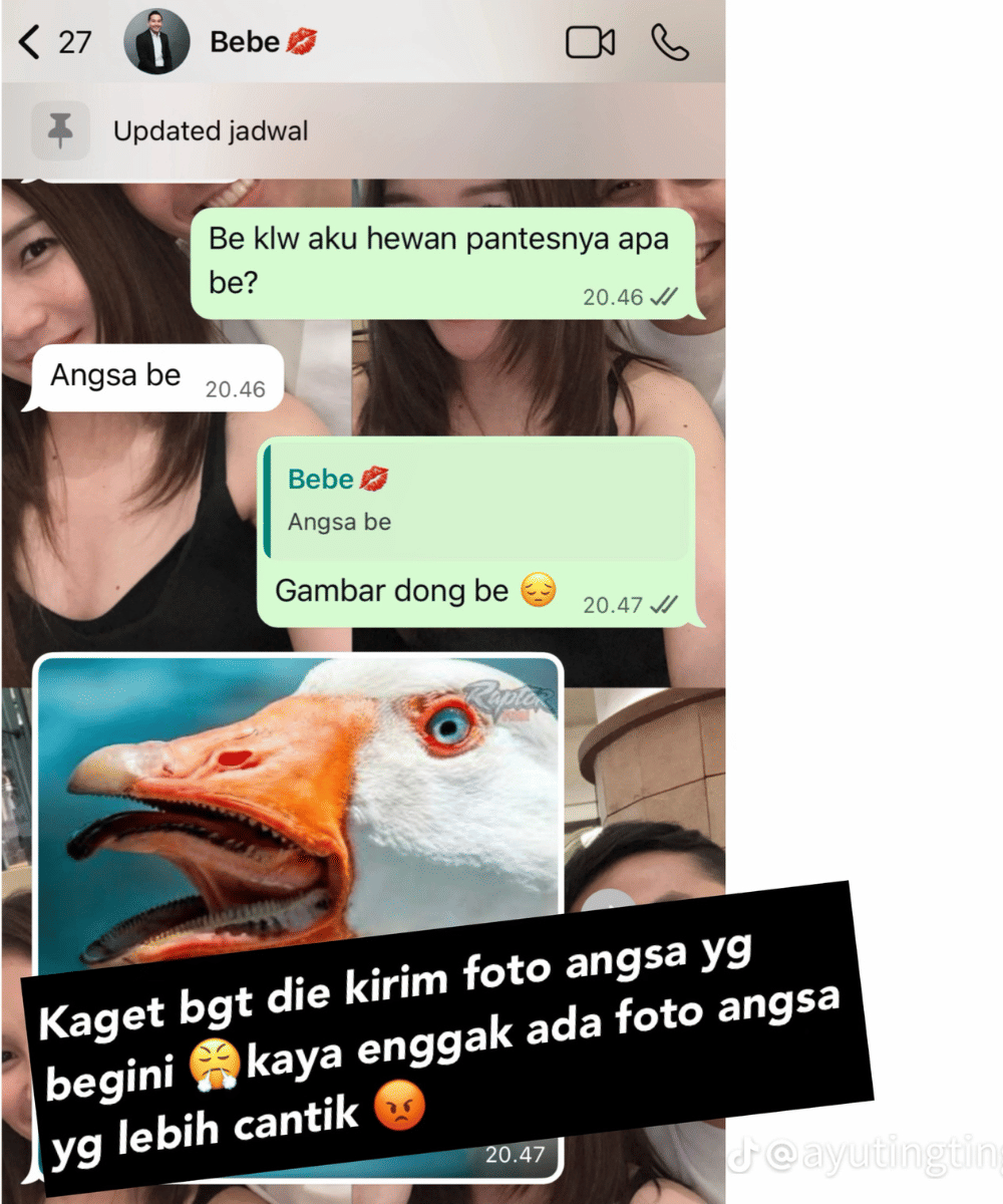Chat Ayu Ting Ting dengan kekasih