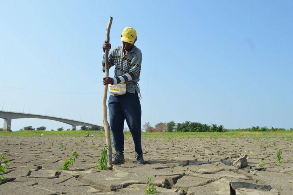 Apa Penyebab El Nino? Ini Fakta Ilmiah dan Dampaknya