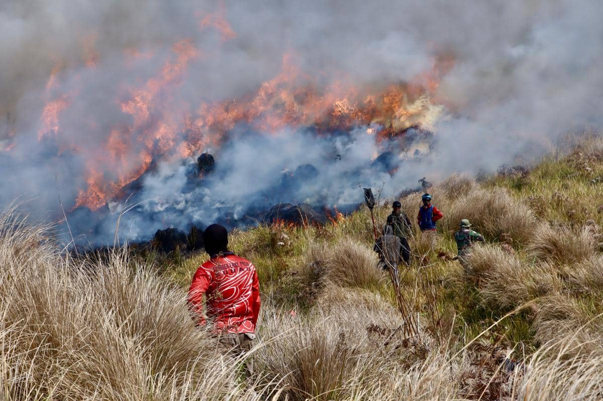 9 Fakta Kebakaran Hutan di Kalimantan, Tersebar hingga 1.487 Titik