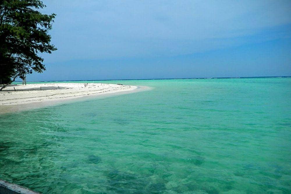 5 Wisata Alam Sidoarjo yang Instagramable, Wajib Coba!