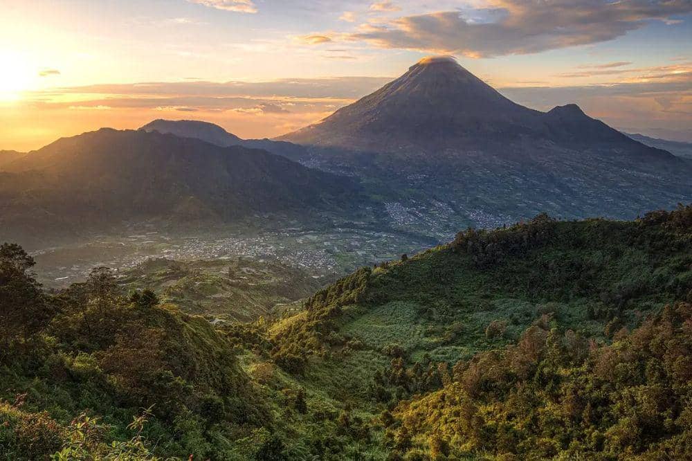 Bukit sikunir
