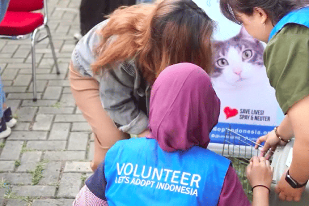 Ariel Tatum Kucing 3