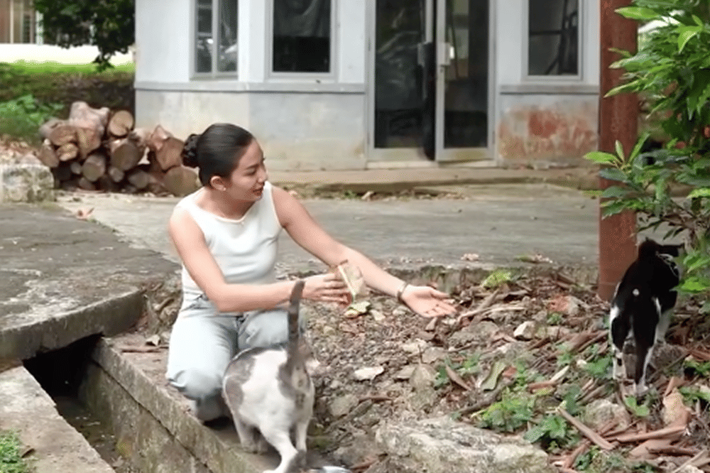 Ariel Tatum Kucing 4