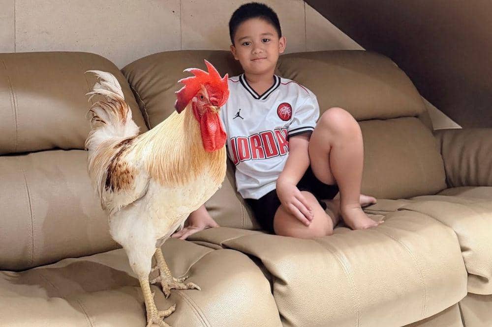 Athar bertemu lagi dengan ayam kesayangan 1