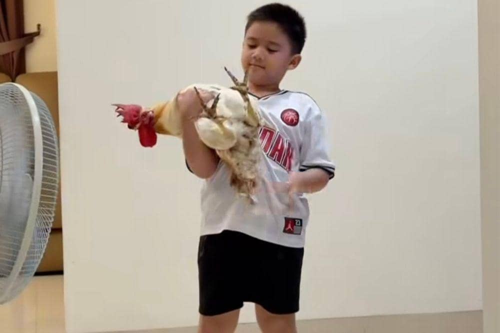 Athar bertemu lagi dengan ayam kesayangan 3