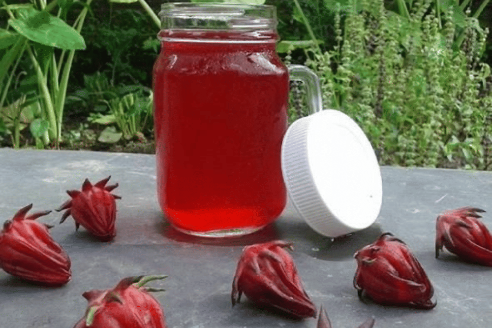 Sirup Rosella