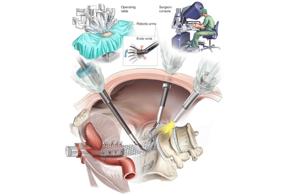 yourpelvicfloor.org.png