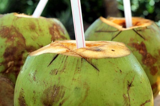 Benarkah sering minum air kelapa bisa menambah air ketuban?