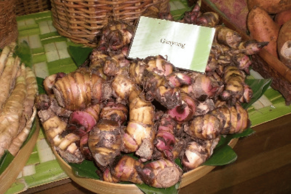 Ganyong