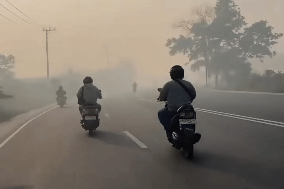 Asap yang diakibatkan kebakaran hutan meluas hingga negara tetangga