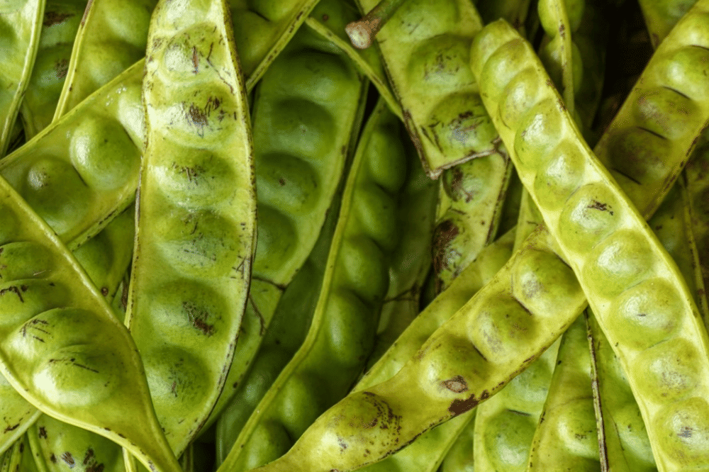 Bolehkah petai jadi menu MPASI?