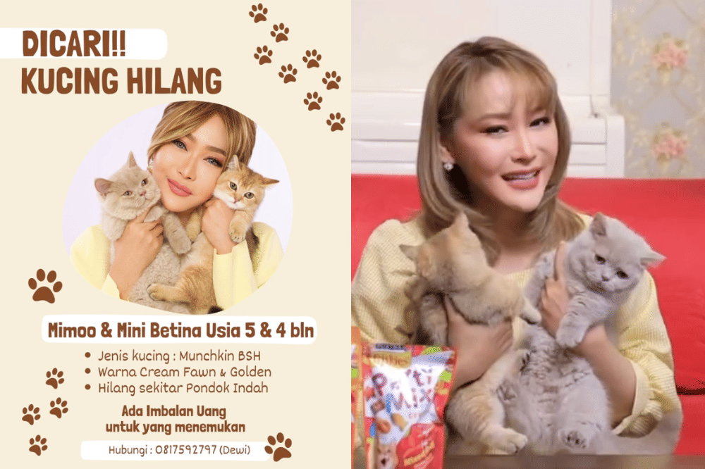 Sedih, Dua Kucing Inul Daratista Hilang di Sekitar Pondok Indah