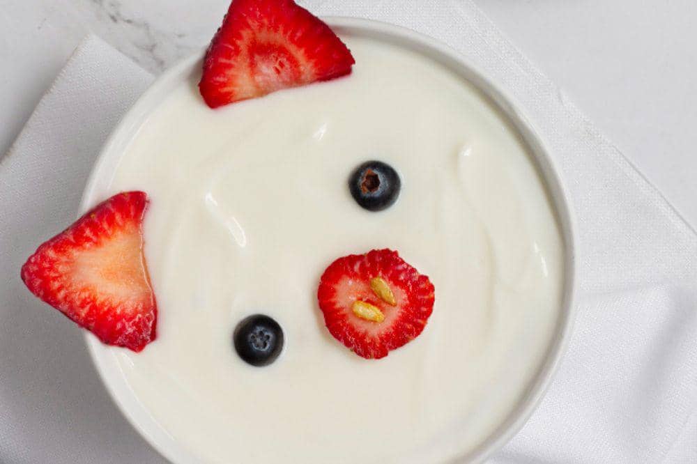 Untuk bayi di bawah 1 tahun, pilih yoghurt dengan kandungan lemak utuh