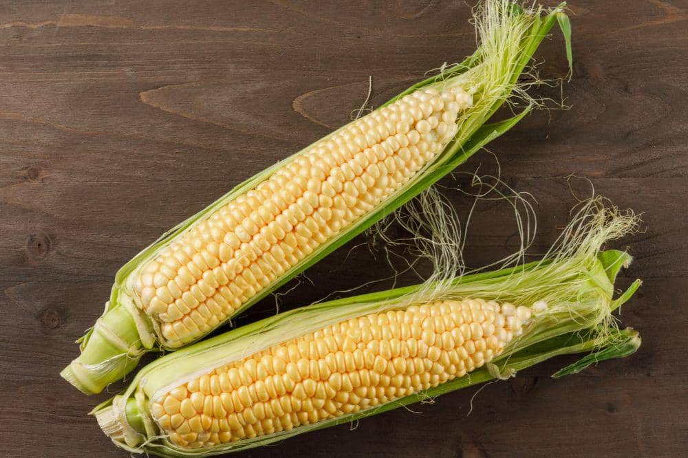 jagung